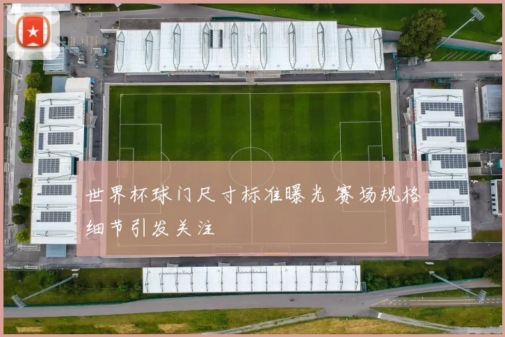 世界杯球门尺寸标准曝光 赛场规格细节引发关注