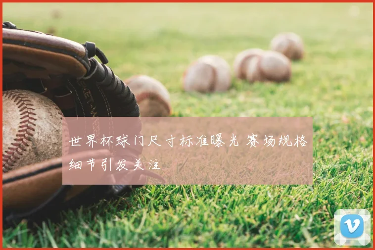 世界杯球门尺寸标准曝光 赛场规格细节引发关注