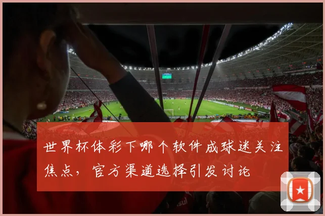 世界杯体彩下哪个软件成球迷关注焦点，官方渠道选择引发讨论